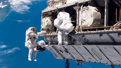 Is an ankle sprain also a brain injury? How neuroscience is helping athletes, astronauts and ‘average Joes’