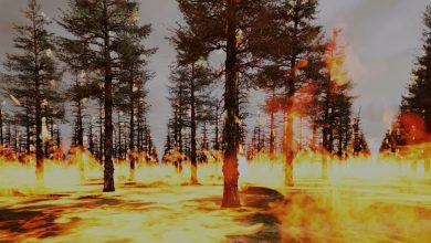 A new immersive cinema is helping firefighters to better prepare for megafires A new immersive cinema is helping firefighters to better prepare for megafires