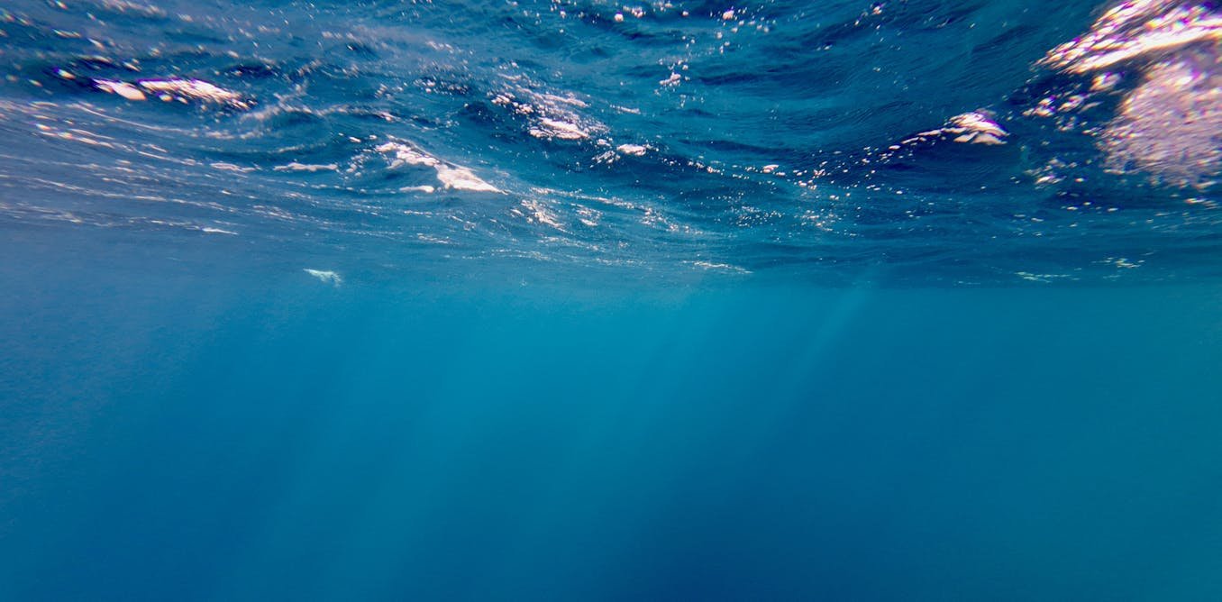 As the oceans warm, deep-living algae are thriving – with major potential effects for the marine ecosystem As the oceans warm, deep-living algae are thriving – with major potential effects for the marine ecosystem