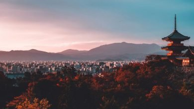 Metaplanet Buys Another 107 Bitcoin, Pushing Stock-BTC Ratio to 20%