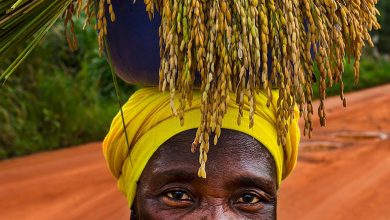 how women who run households cope