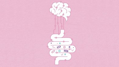 Gut microbe imbalances could predict a child’s risk for autism, ADHD and speech disorders years before symptoms appear