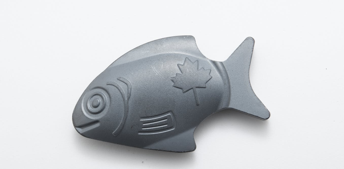 TikTok users claim a cast iron ‘fish’ can help with a mineral deficiency – but it’s not quite that simple TikTok users claim a cast iron ‘fish’ can help with a mineral deficiency – but it’s not quite that simple