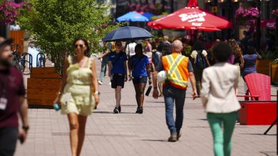 Return-to-office mandates may not be the solution to downtown struggles that Canadian cities are banking on